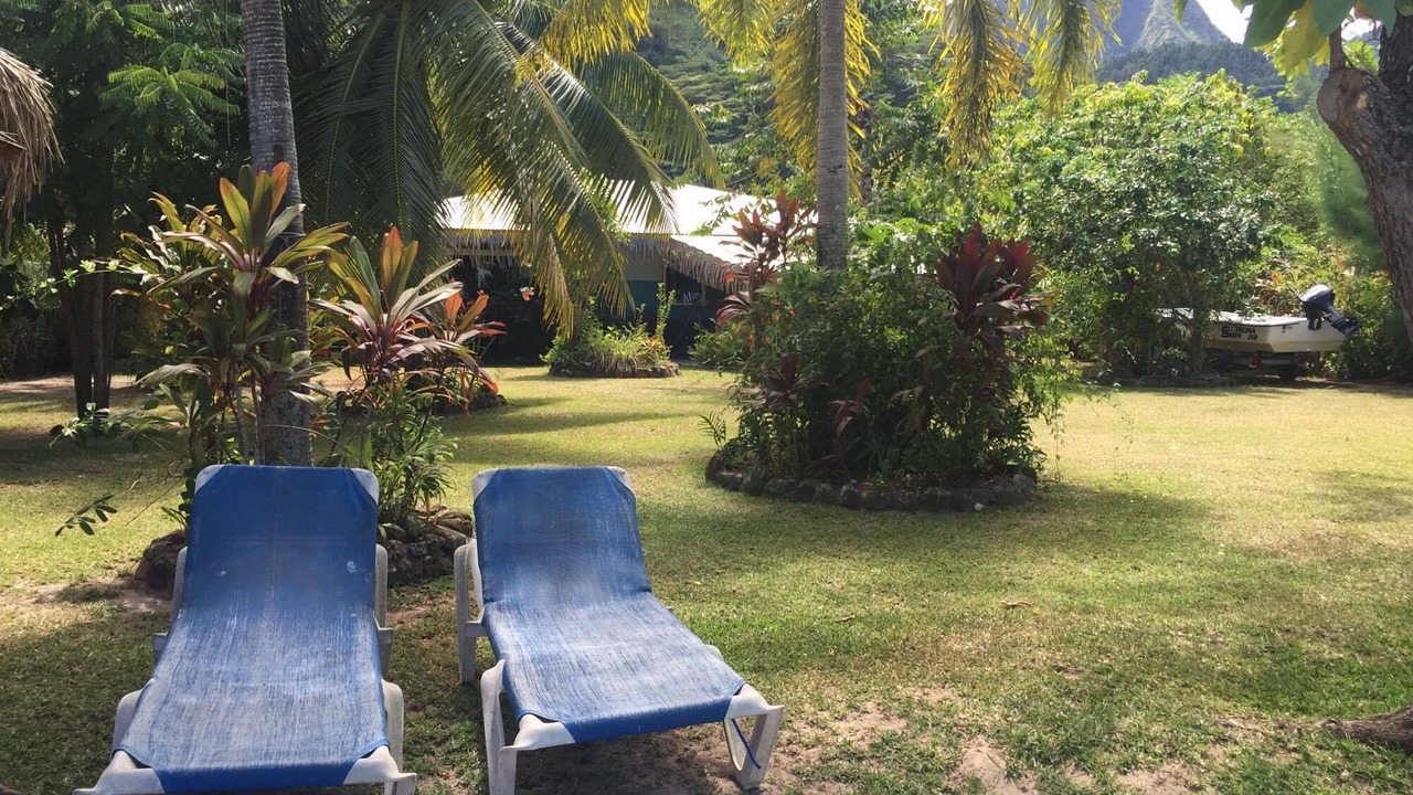Photo of Outdoor in Nu'urua