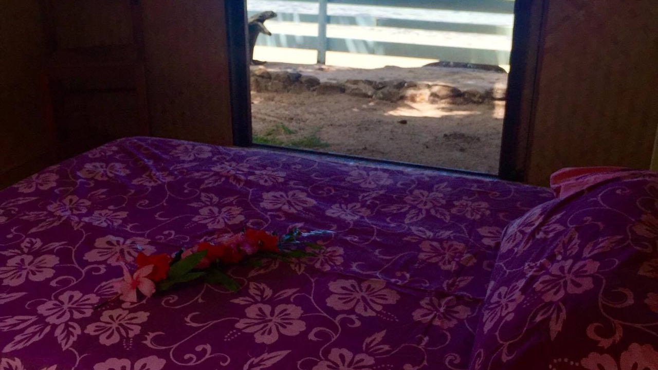 Photo of Bedroom in Nu'urua