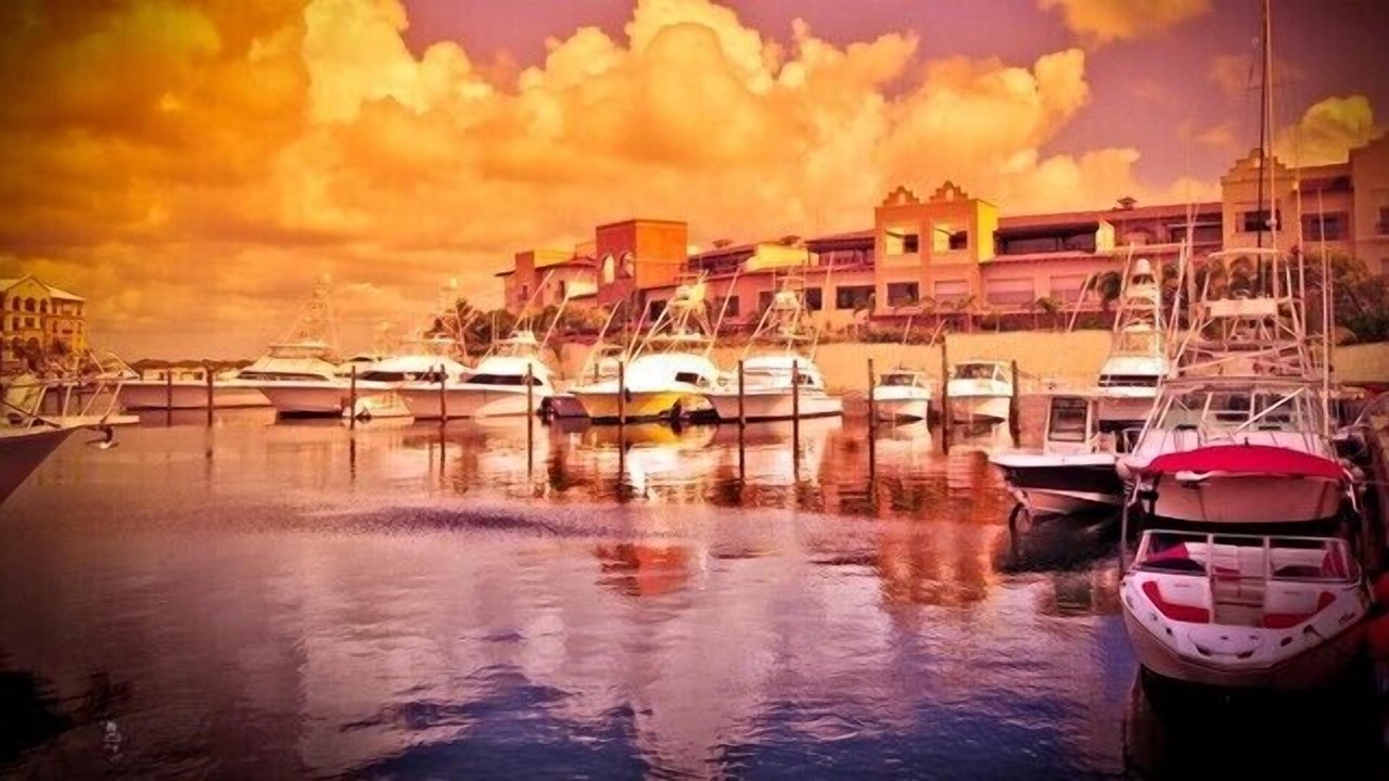 Photo of Others in Cap Cana Marina