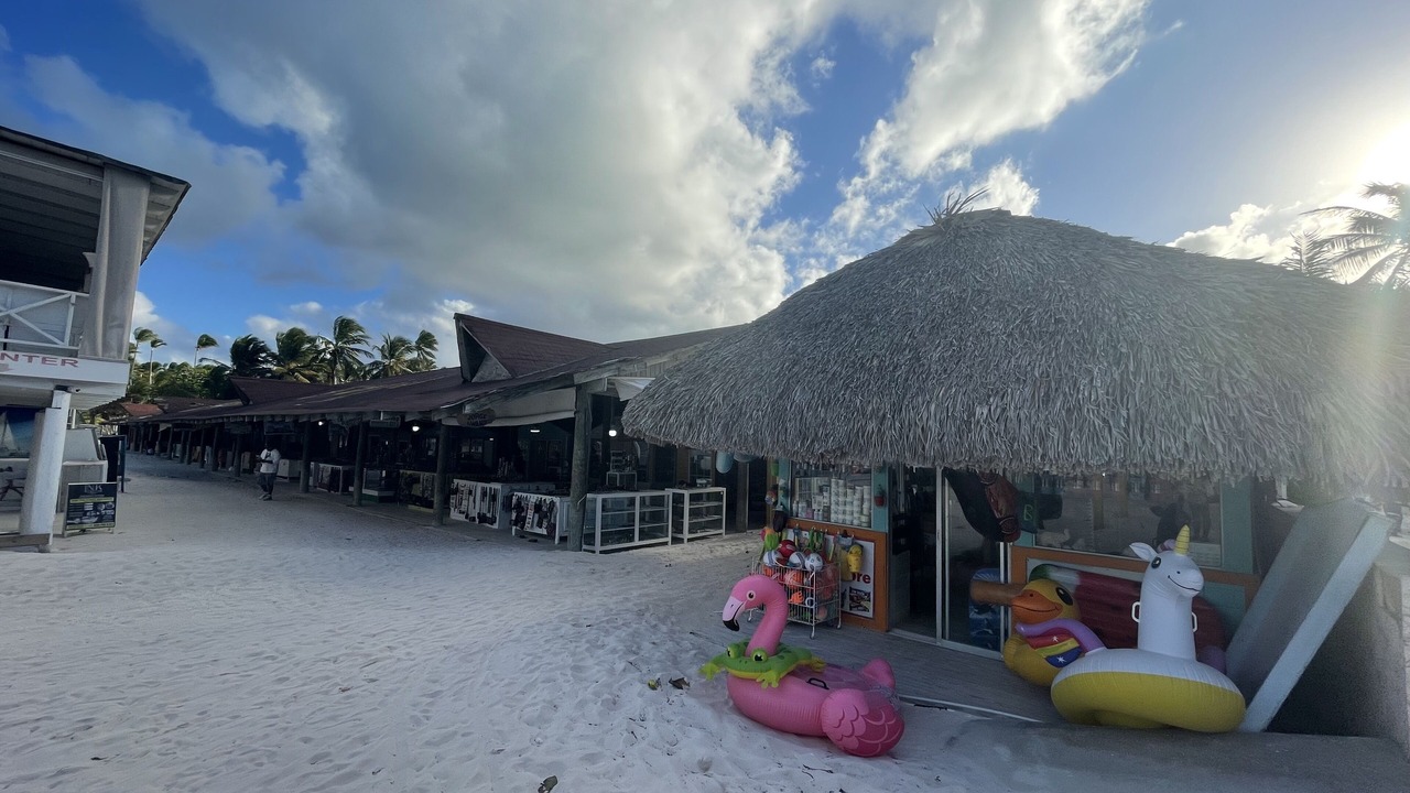Photo of Others in Playa Bibijagua