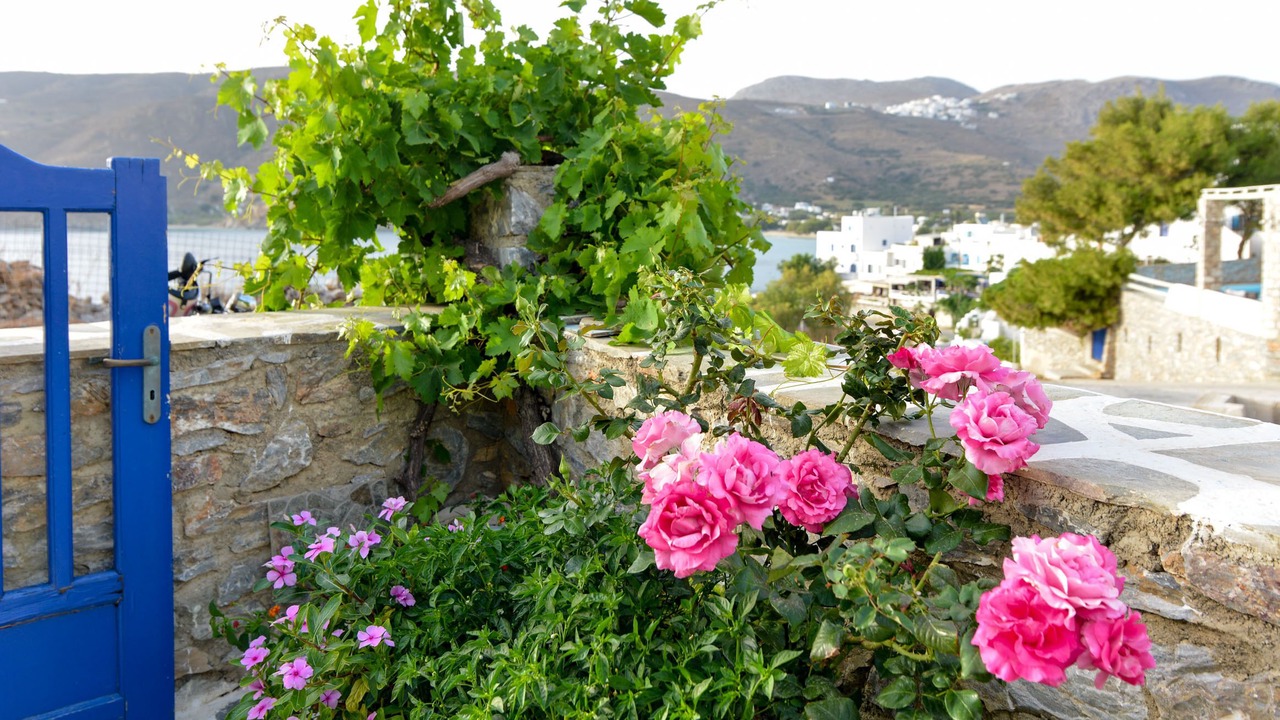 Photo of Outdoor in Aegiali