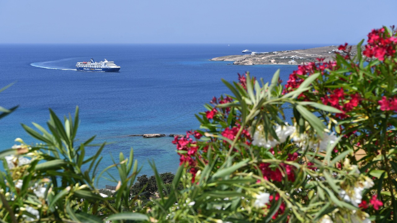 Photo of Others in Parasporos