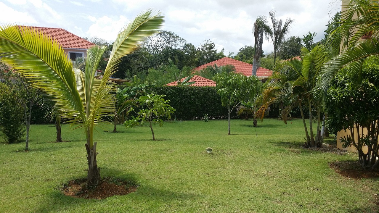 Photo of Outdoor in El Batey