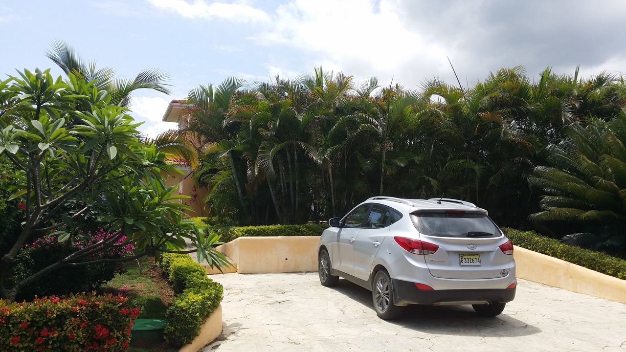 Photo of Outdoor in El Batey