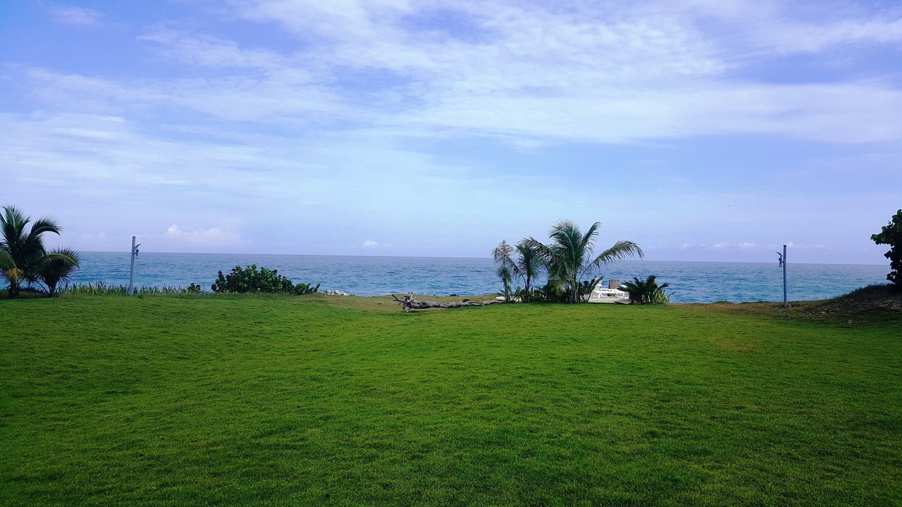 Photo of Others in Playa Chiquita