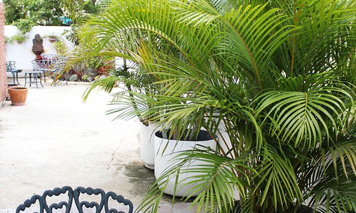 Photo of Outdoor in El Batey