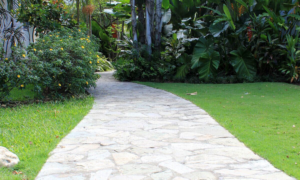 Photo of Outdoor in El Batey