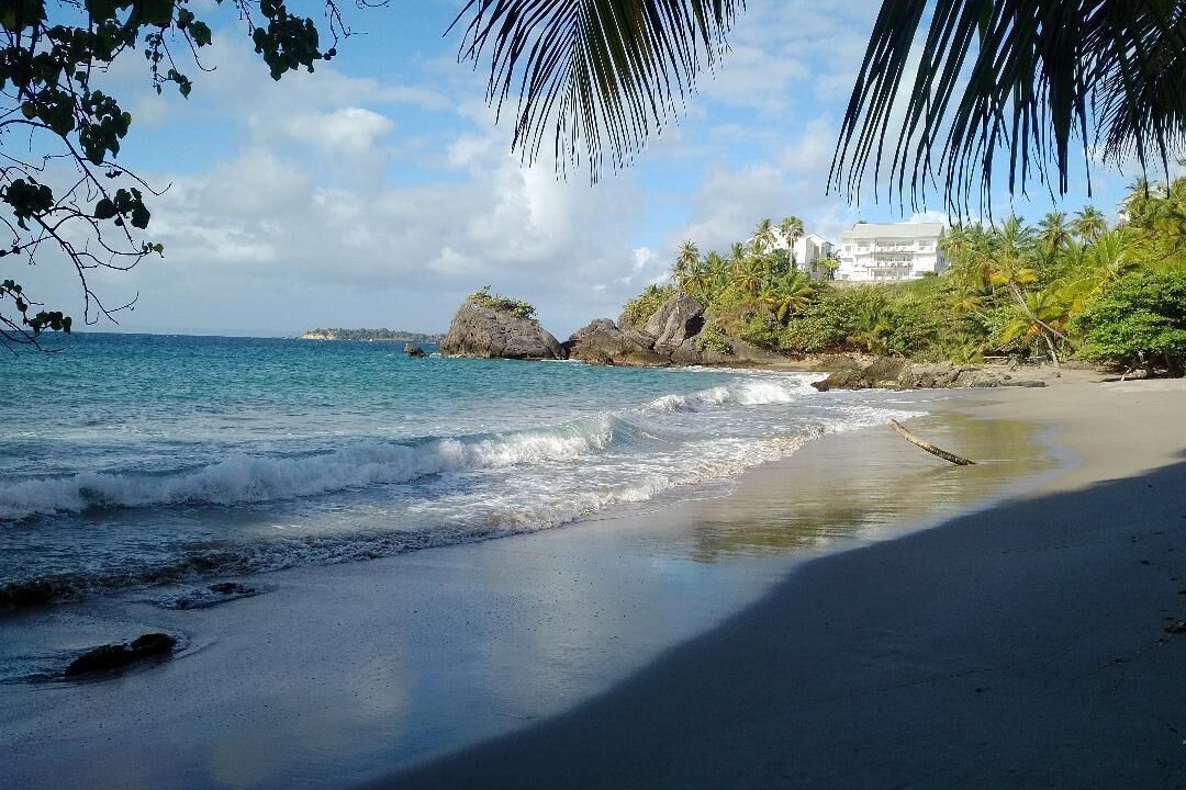 Photo of Others in Samana