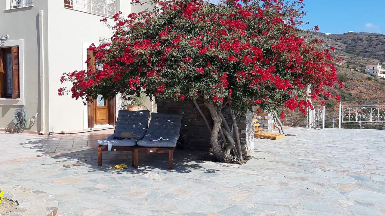 Photo of Patio Balcony in Kipri