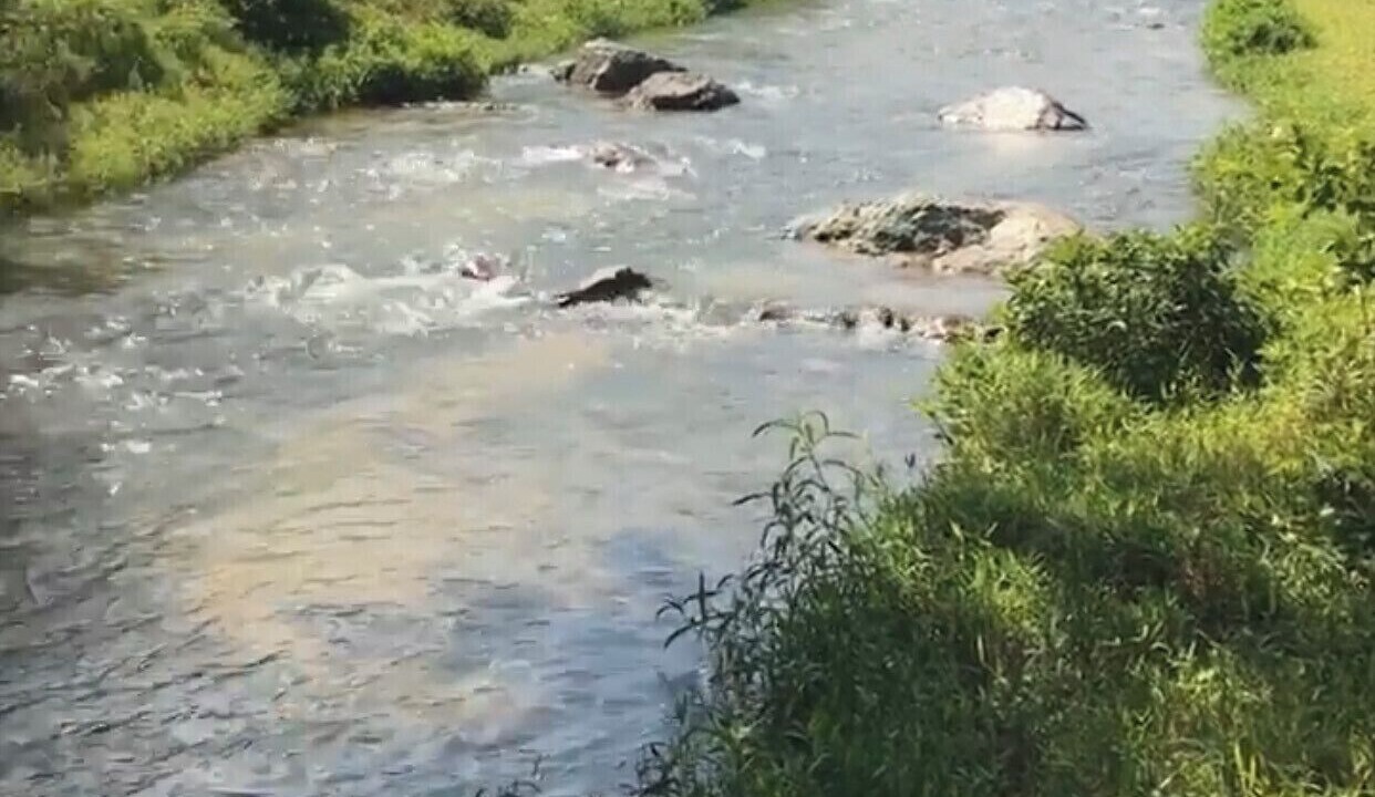 Photo of Others in La Joya