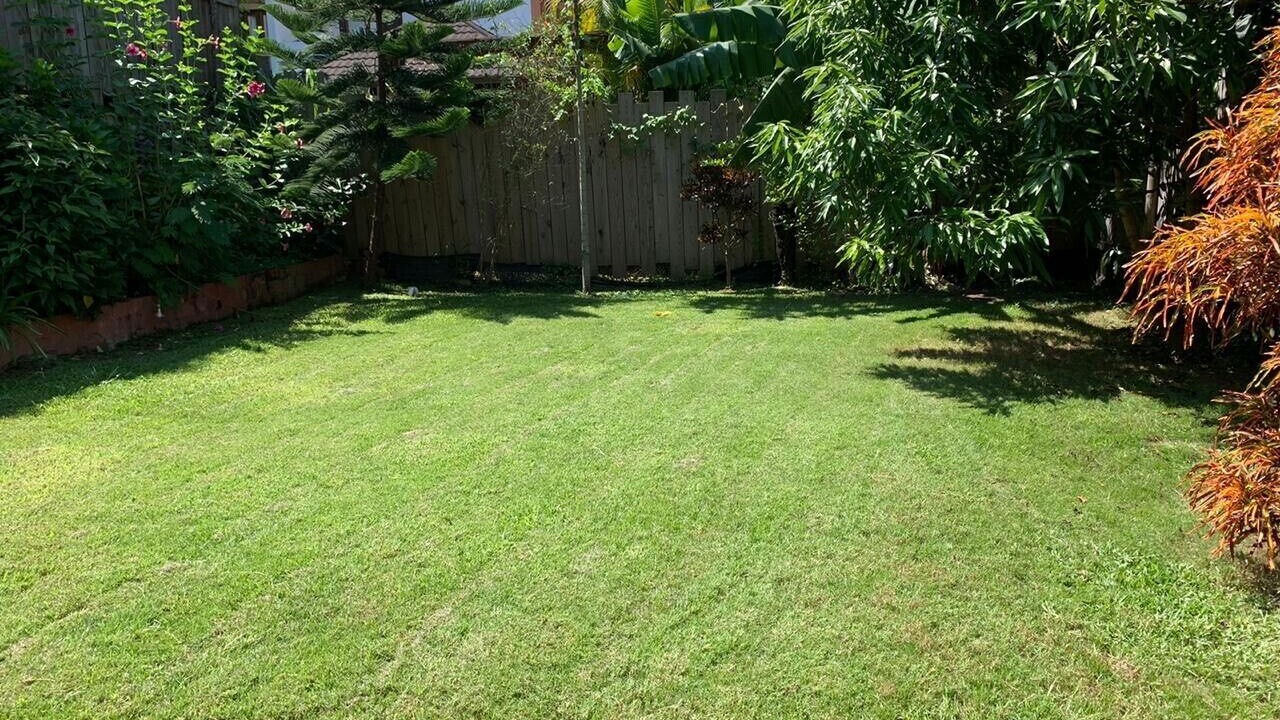 Photo of Outdoor in La Joya