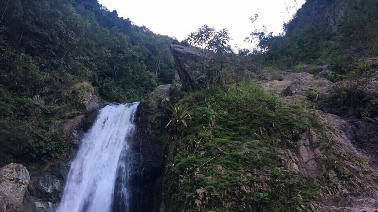Photo of Outdoor in La Joya