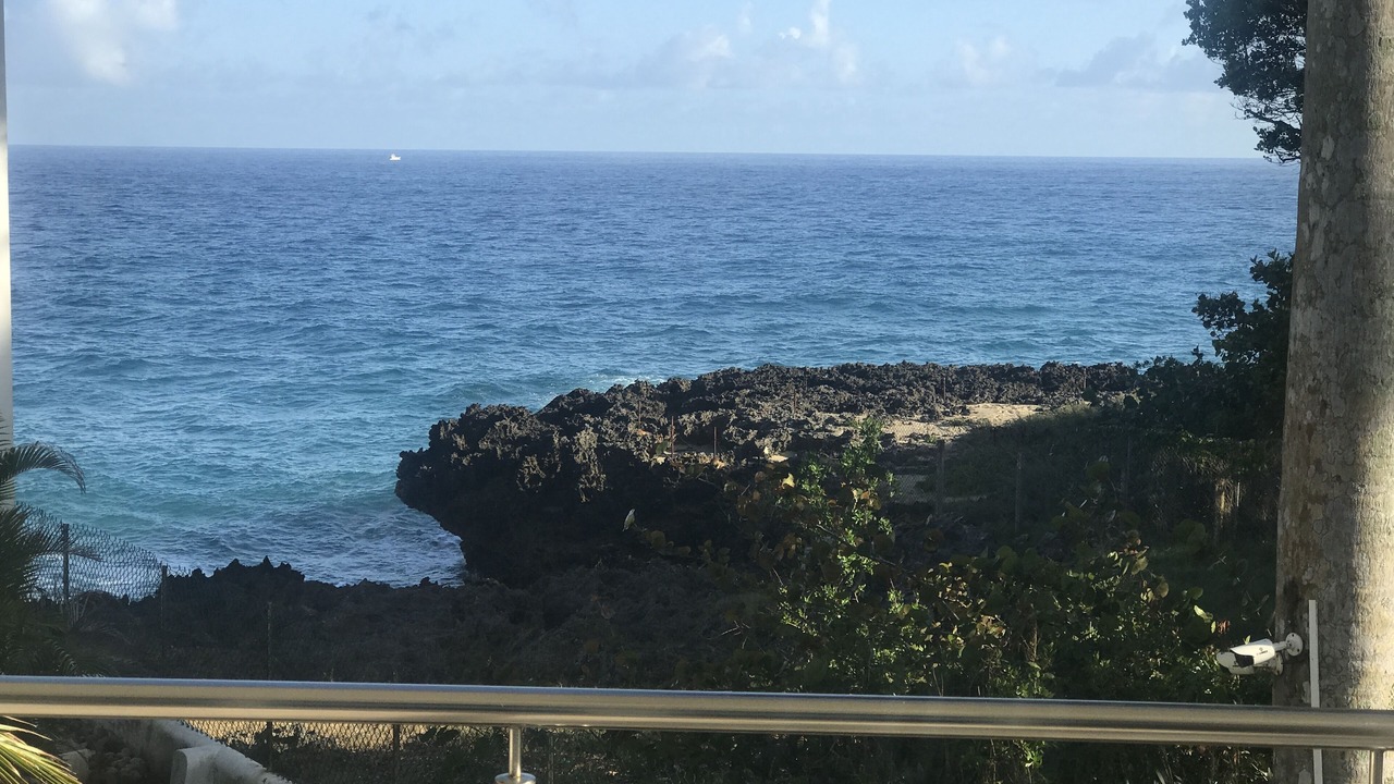 Photo of Others in Playa Chiquita