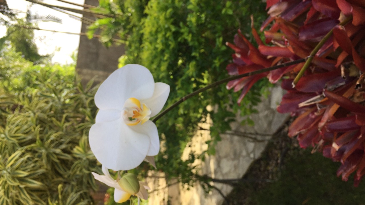 Photo of Outdoor in Los Melones