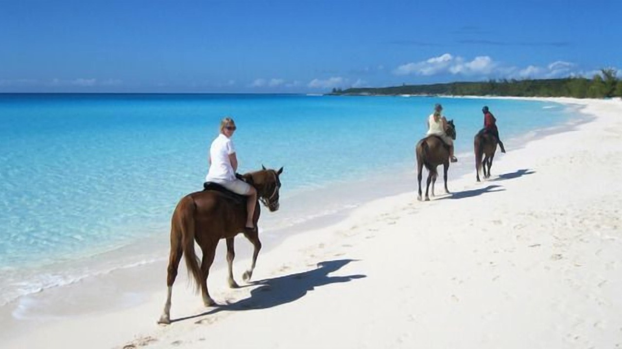 Photo of Others in Cabarete