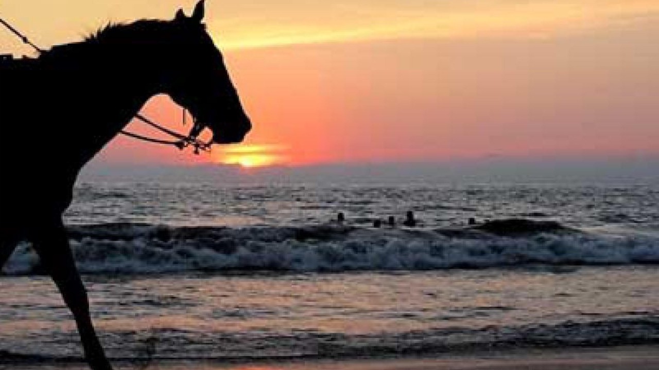 Photo of Others in Cabarete