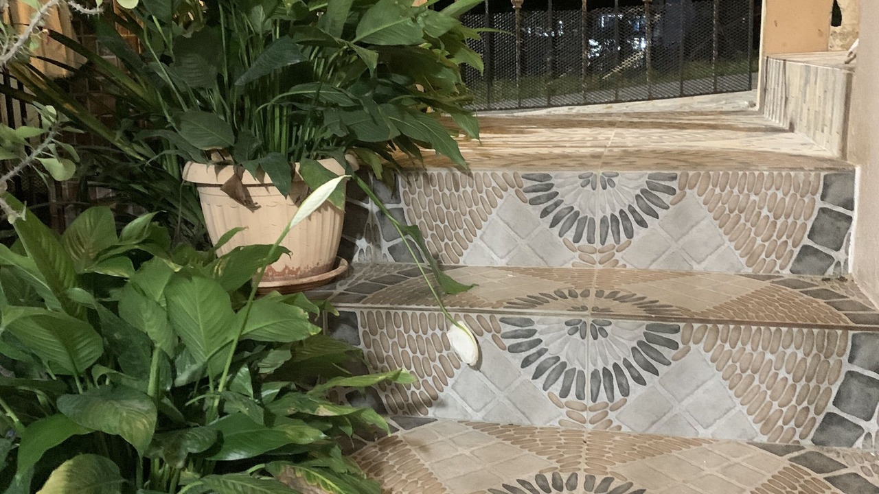 Photo of Outdoor in Centro
