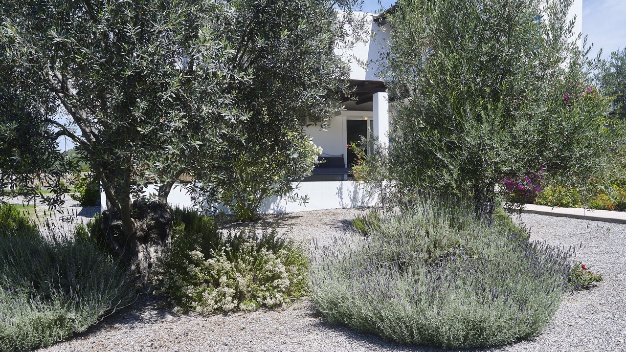 Photo of Outdoor in Lindos