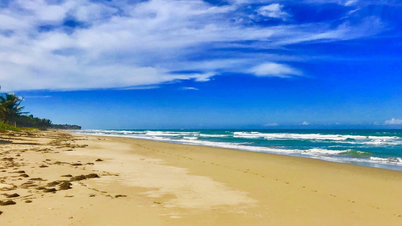 Photo of Others in Cabarete