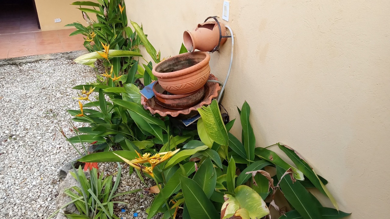 Photo of Outdoor in Higuey