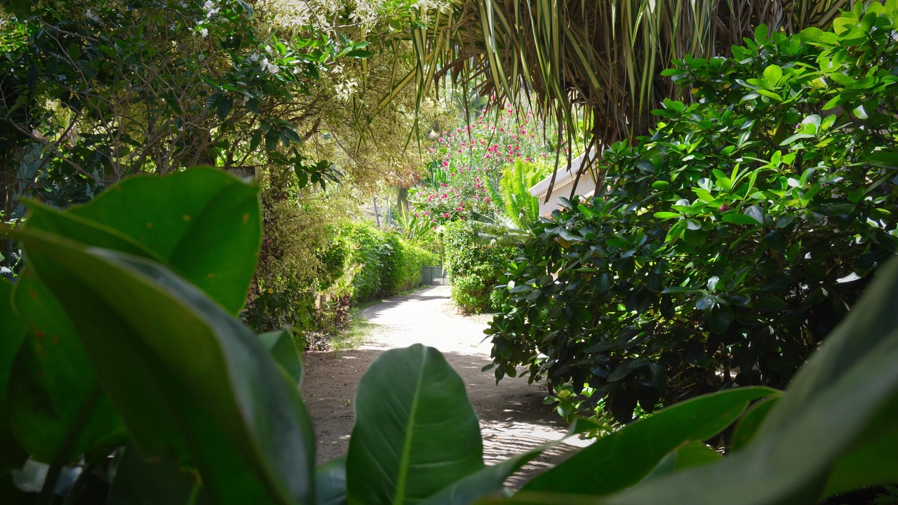 Photo of Outdoor in Pihaena