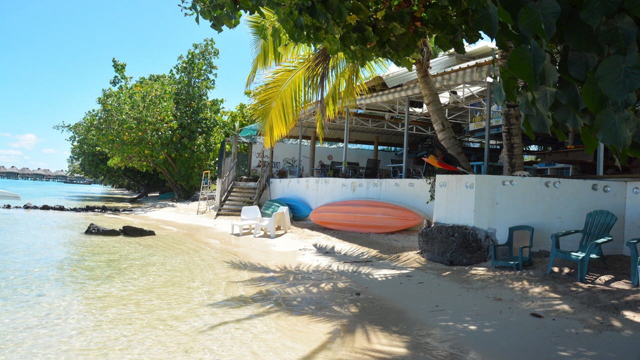 Photo of Others in Pihaena