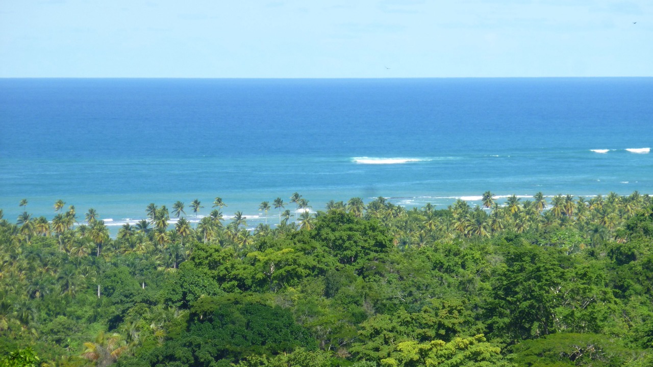 Photo of Others in Las Terrenas