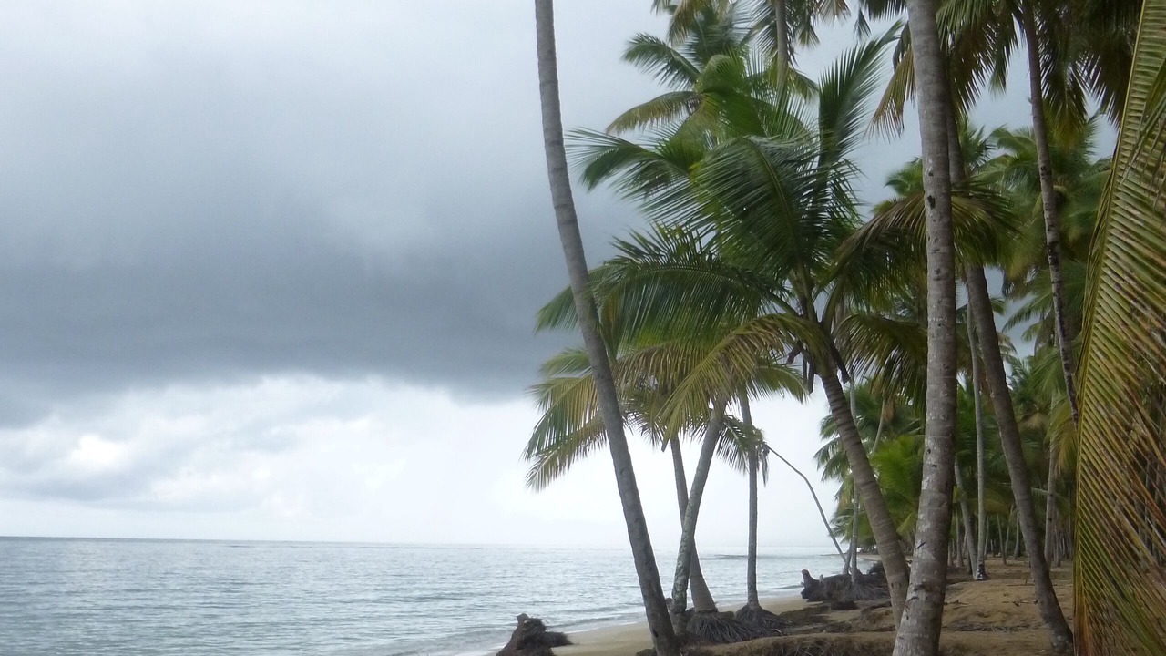Photo of Others in Las Terrenas