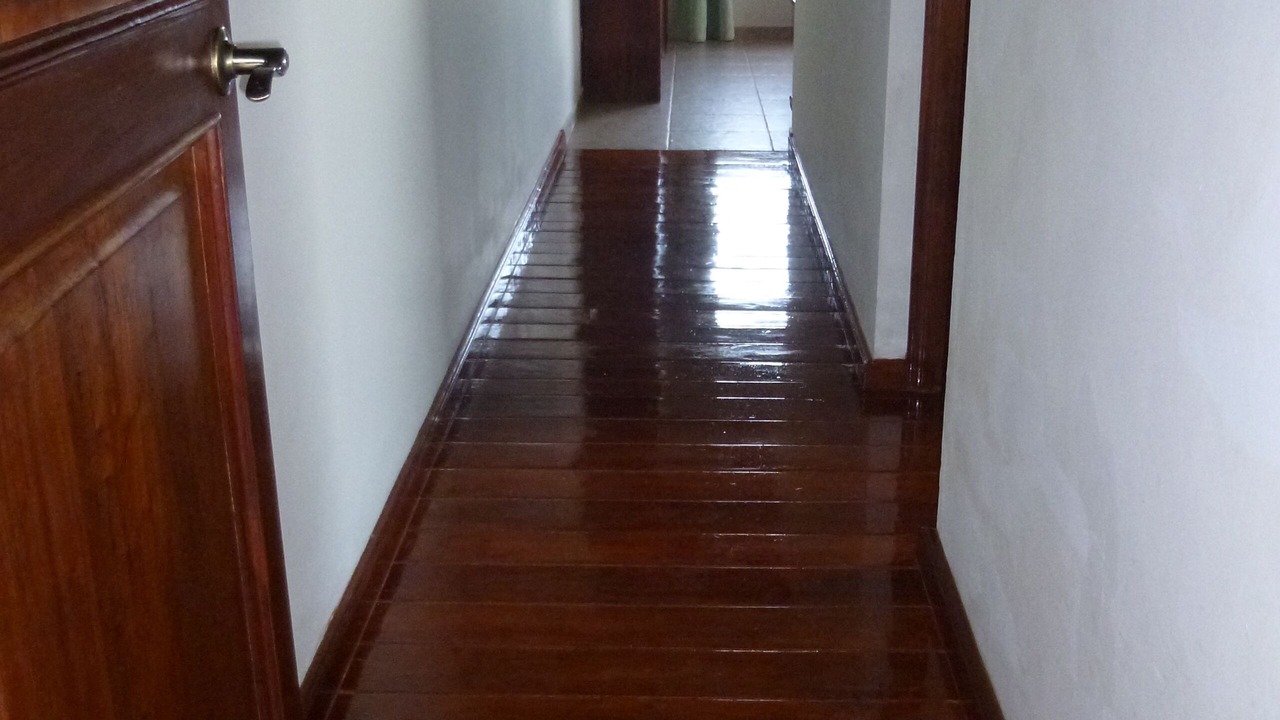 Photo of Others in Las Terrenas