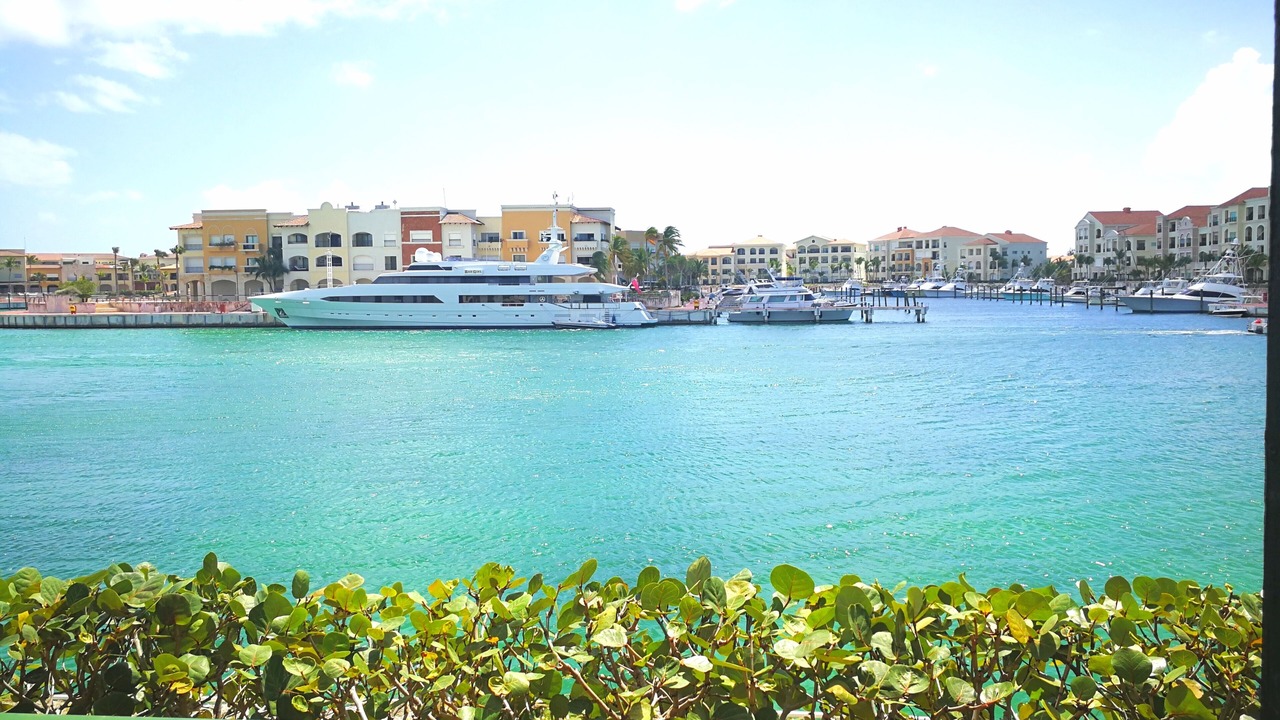 Photo of Others in Cap Cana Marina