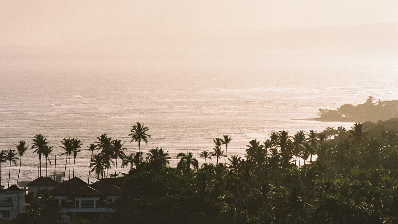 Photo of Others in Puerto Plata