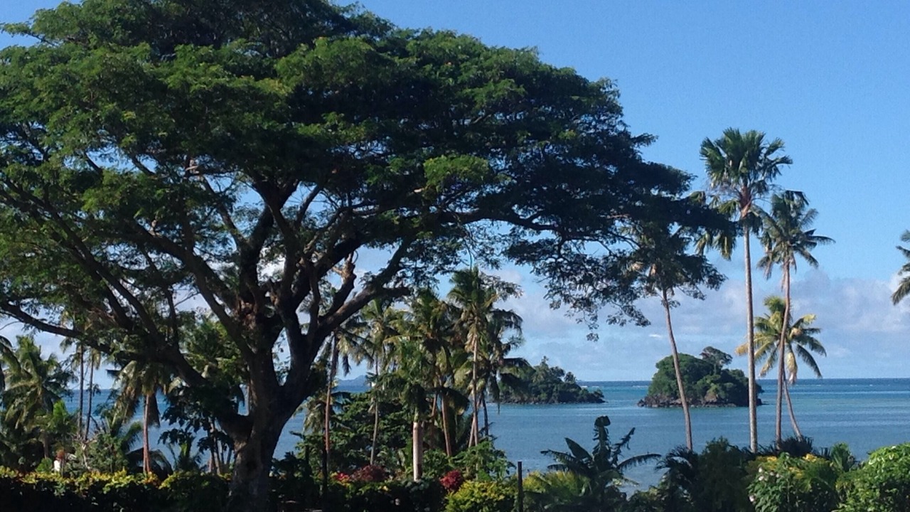 Photo of Outdoor in Matei