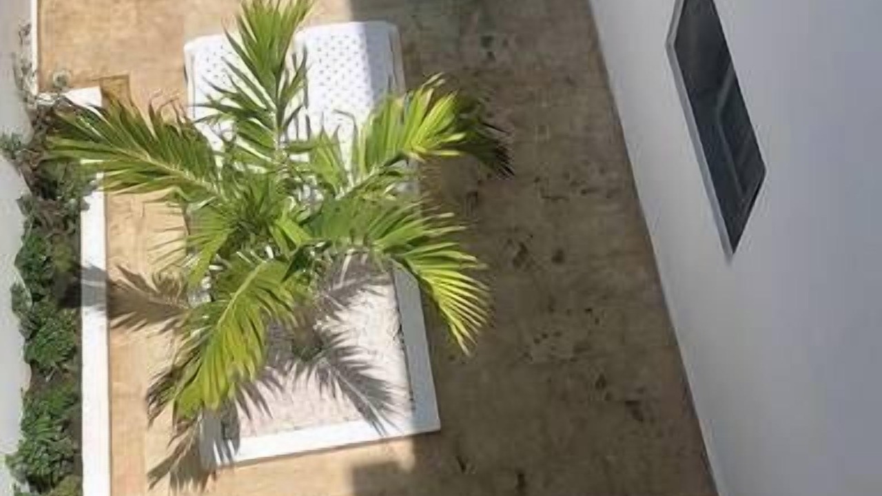 Photo of Outdoor in Cabarete