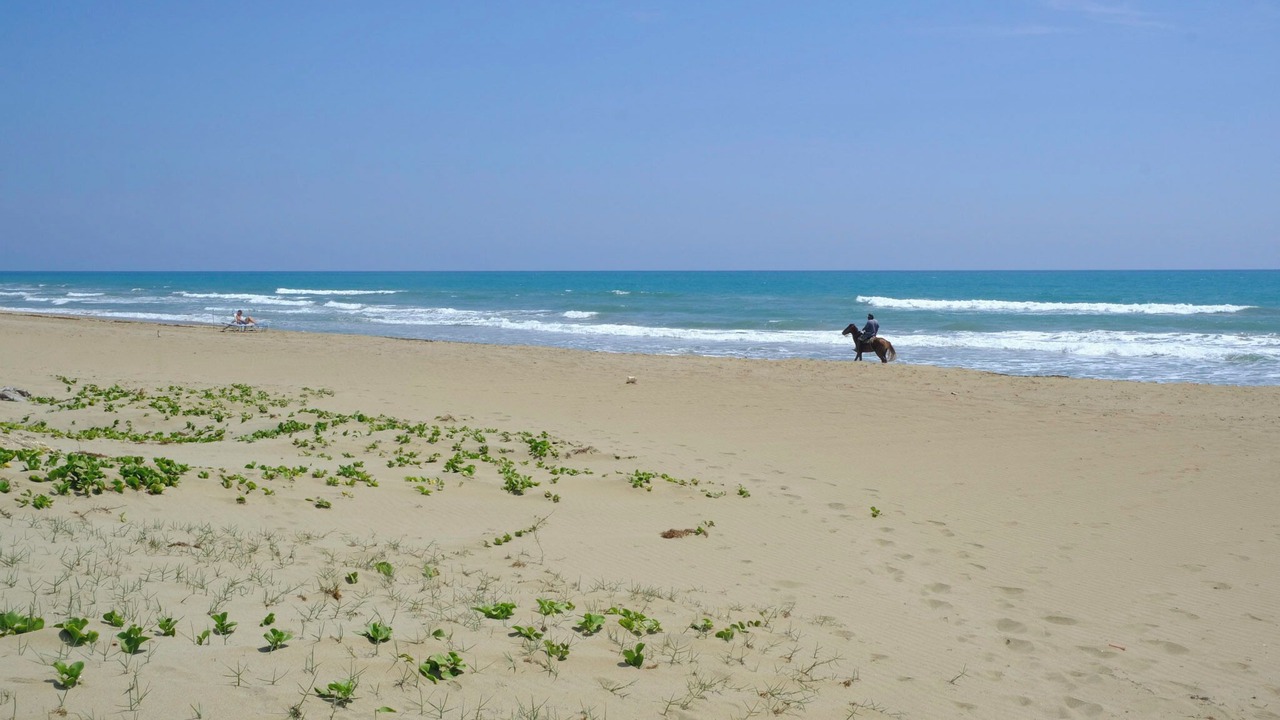 Photo of Others in Cabarete