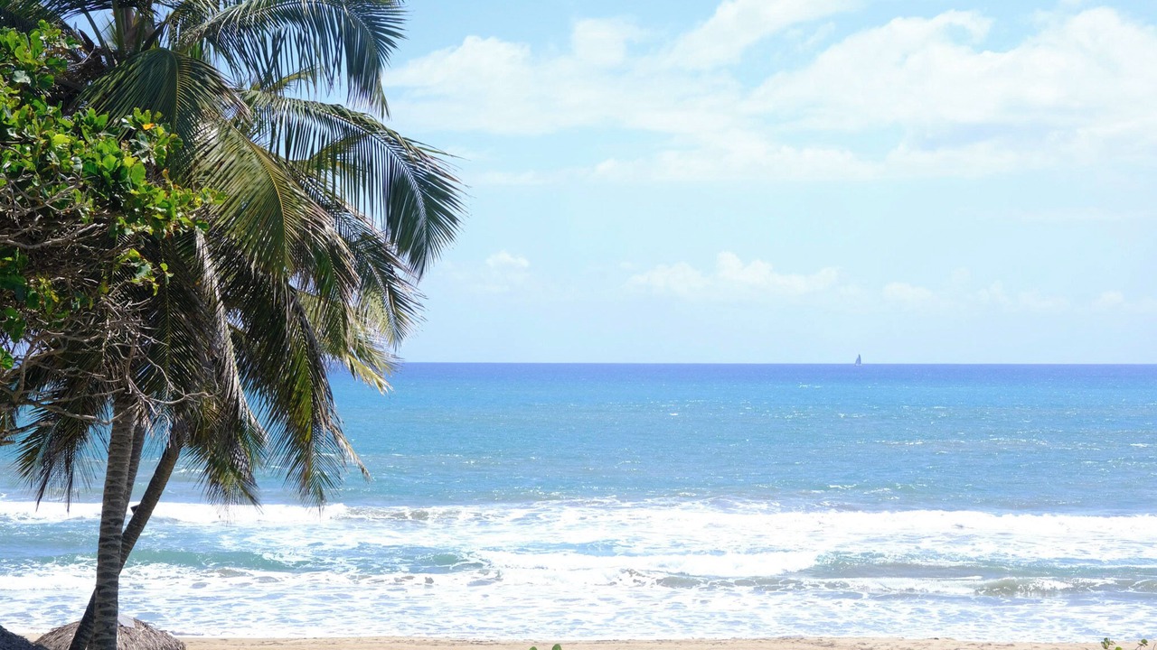 Photo of Others in Cabarete