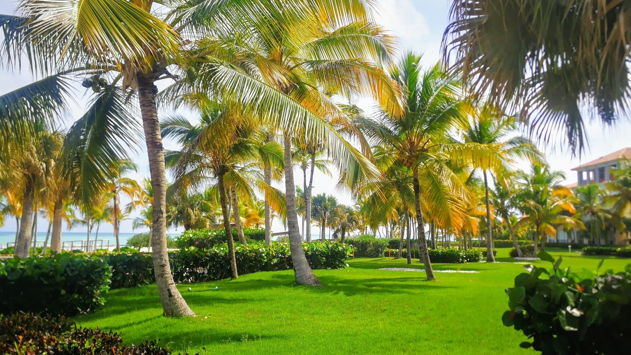 Photo of Outdoor in Cap Cana Marina