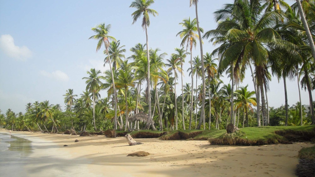 Photo of Others in Las Terrenas
