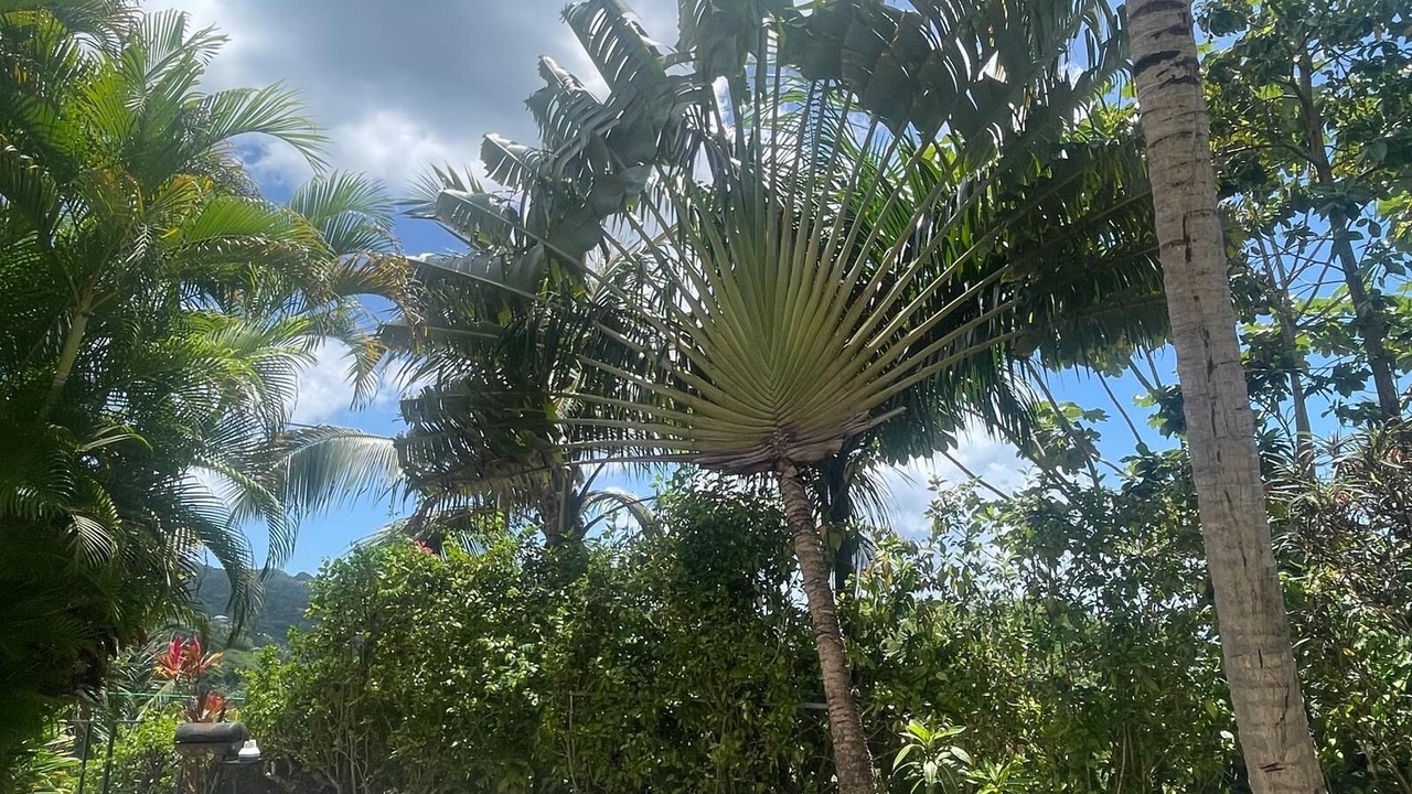Photo of Outdoor in Las Terrenas