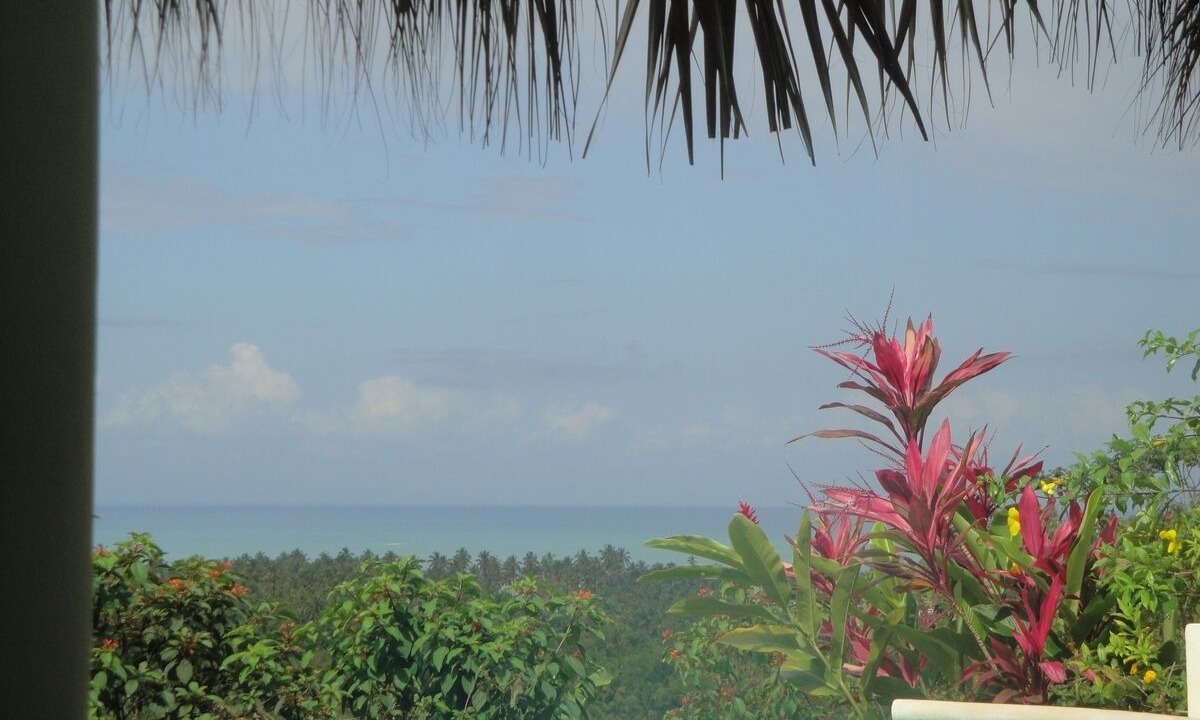 Photo of Outdoor in Las Terrenas