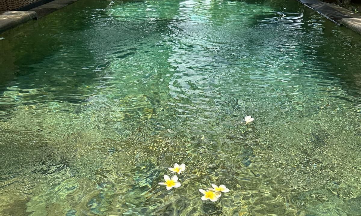 Photo of Outdoor in Umeanyar