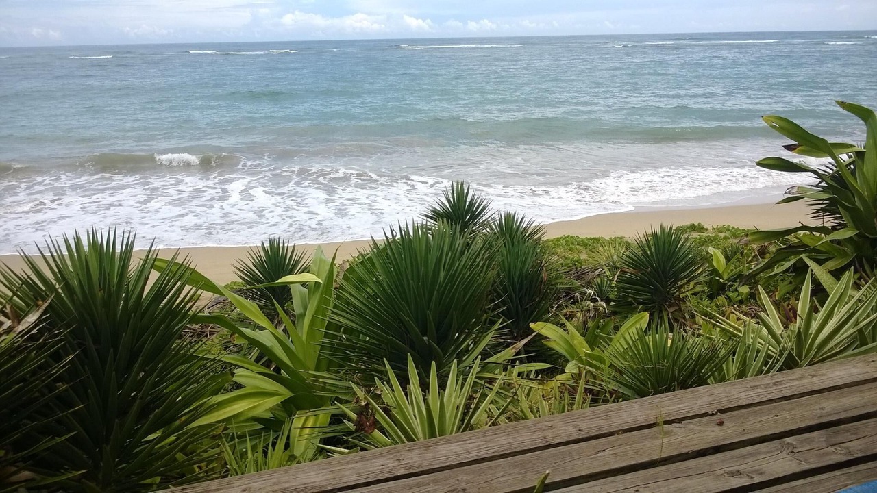 Photo of Others in Cabarete
