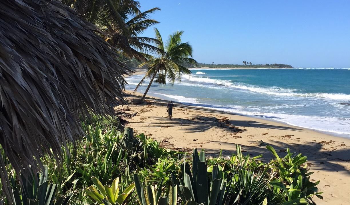 Photo of Others in Cabarete