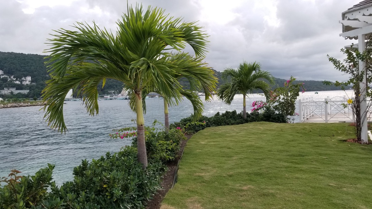 Photo of Outdoor in La Mulata