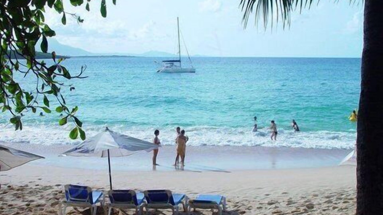 Photo of Others in Playa Chiquita