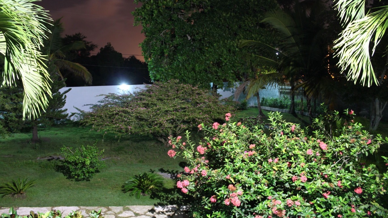 Photo of Outdoor in Bella Vista
