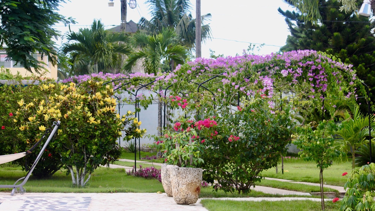 Photo of Outdoor in Bella Vista