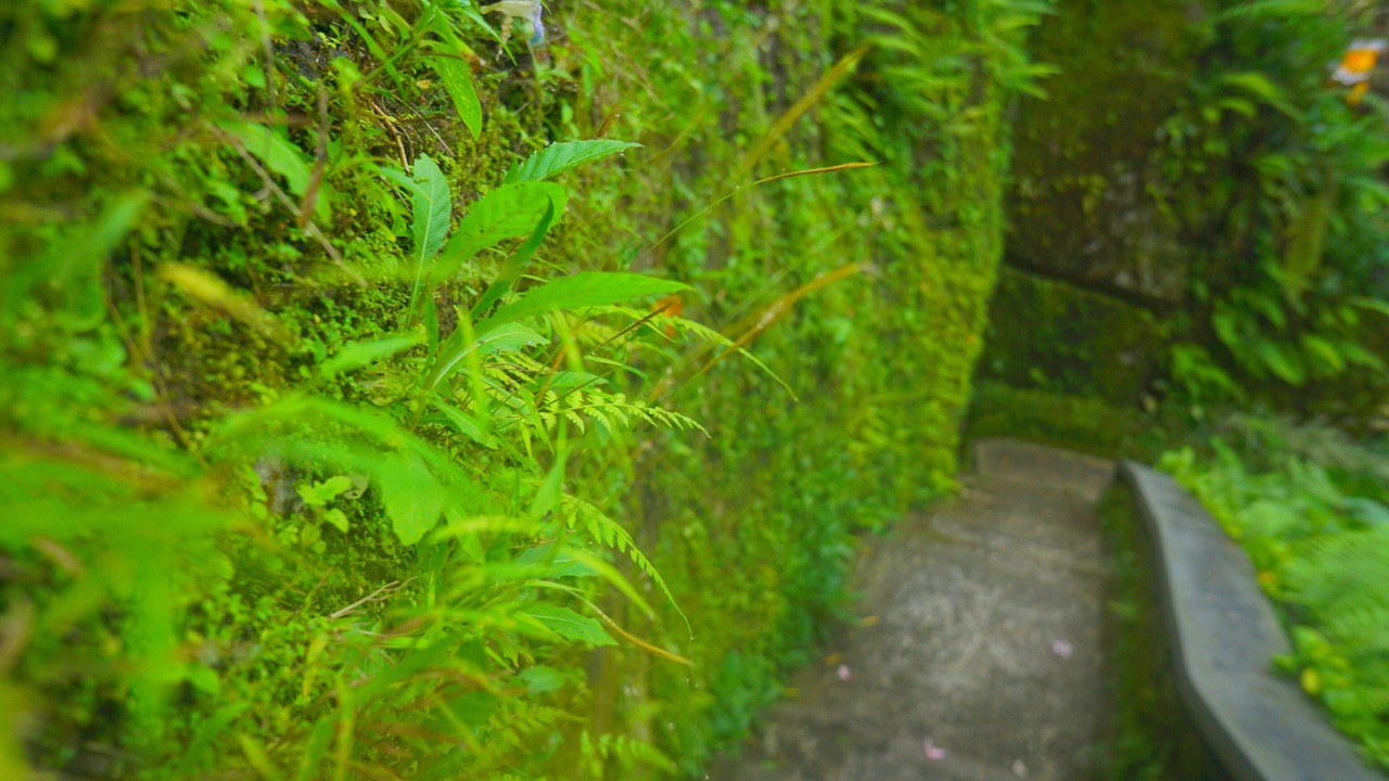 Photo of Outdoor in Abiansemal