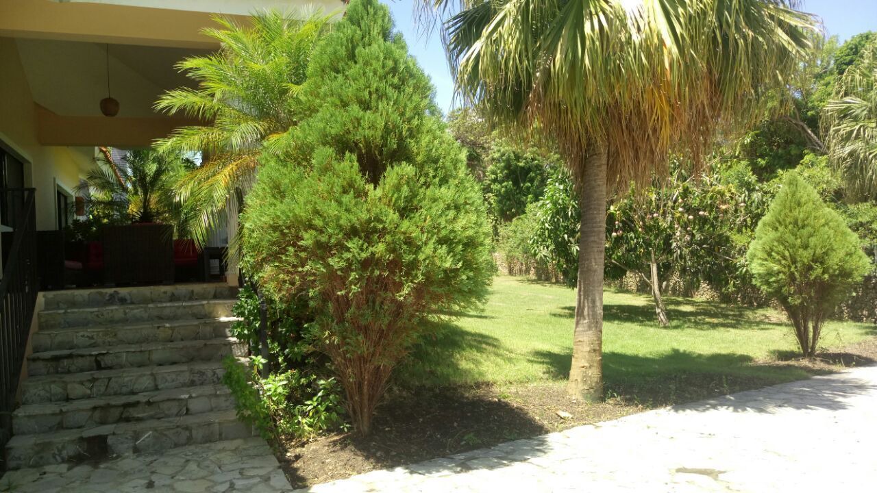 Photo of Outdoor in Sosua
