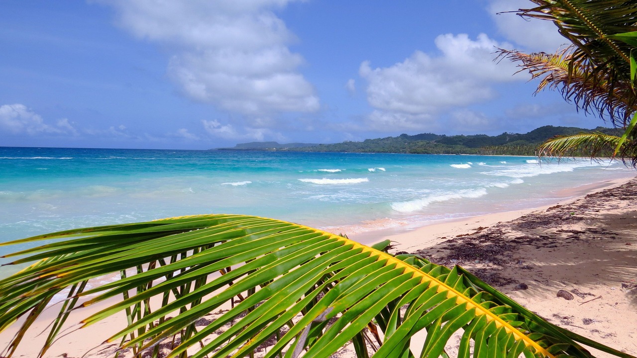 Photo of Others in Las Galeras