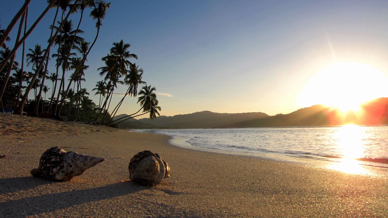Photo of Others in Las Galeras